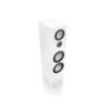 CANTON GLE 100 - diffusore singolo passivo - immagine 12